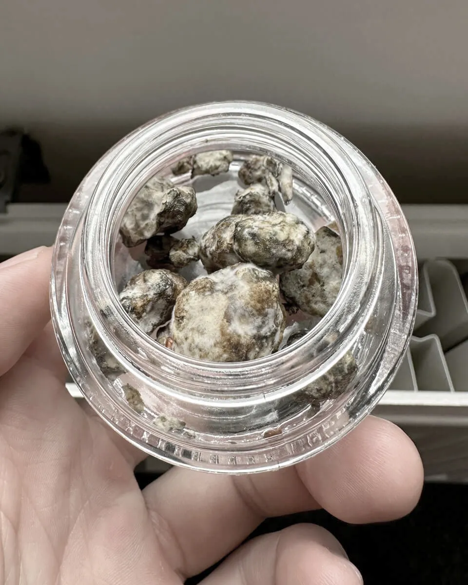 brouwersgracht 8 – 1013 gw amsterdam