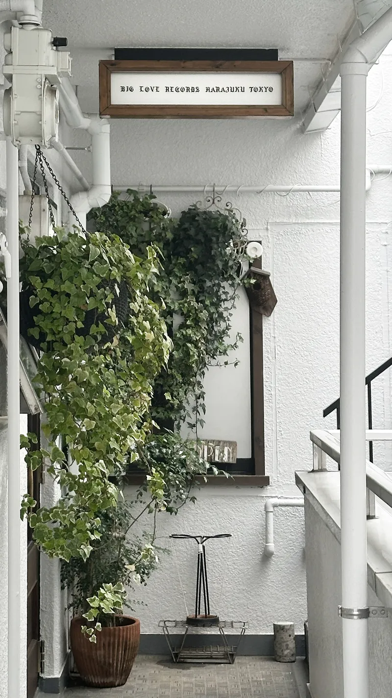 〒150-0001 Tokyo, Shibuya — Jingumae, 2 Chome-31-3, Japan